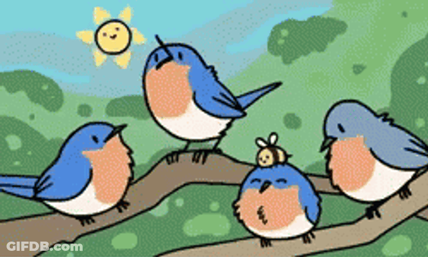 Animated Bird Chirping GIF