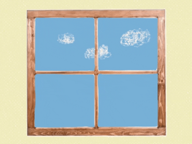 Animated Bird Colliding On Window Glass Breaking GIF