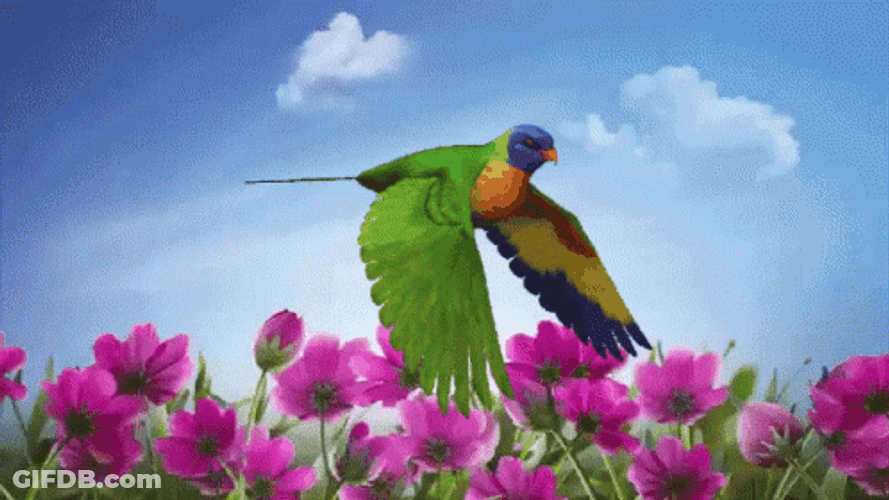 Animated Bird Flying Over Flower Field GIF