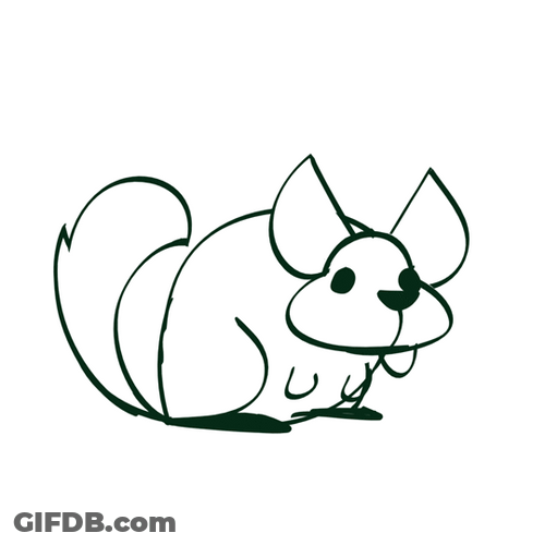 Animated Black And White Chinchilla GIF