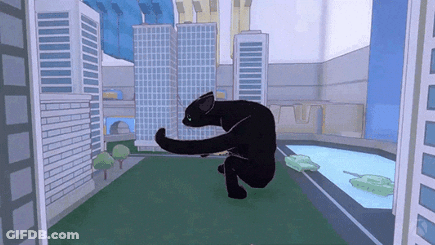 Animated Black Cat Spinning Rapidly GIF