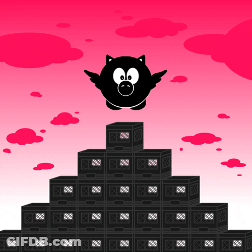 Animated Black Pig Flies Above Blocks GIF