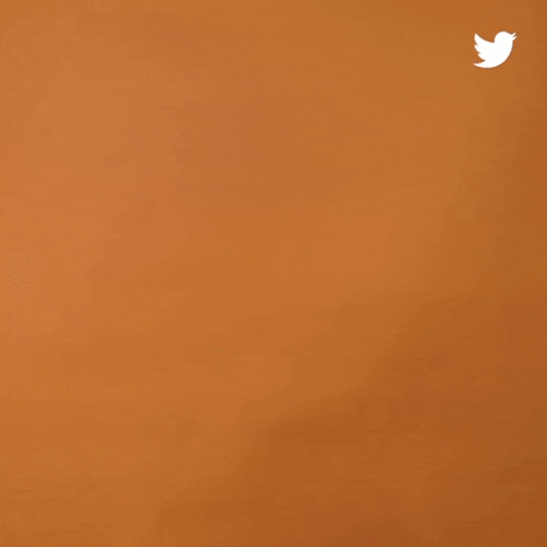 Animated Bold Calligraphy Thats Cold GIF