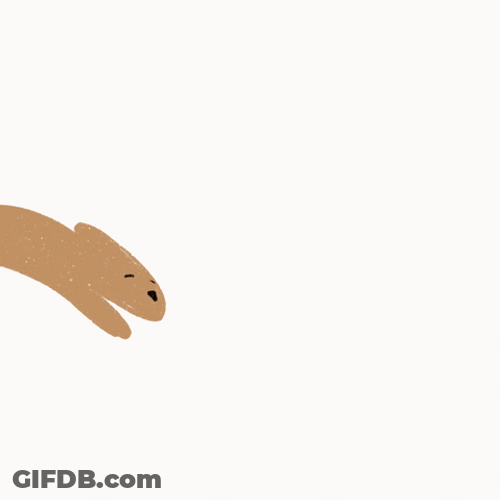 Animated Brown Bunny Hopping GIF
