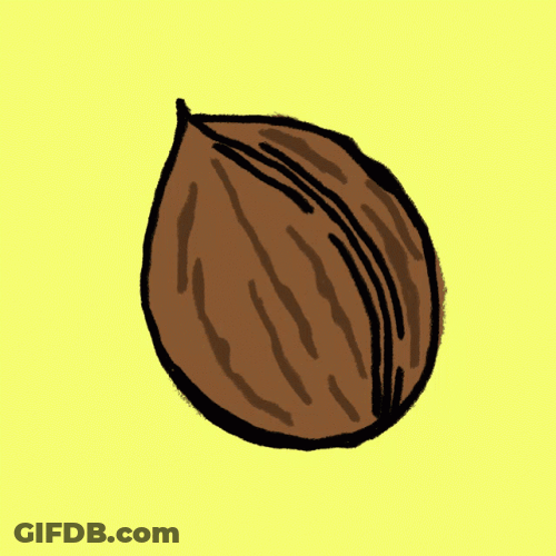 Animated Brown Nut GIF