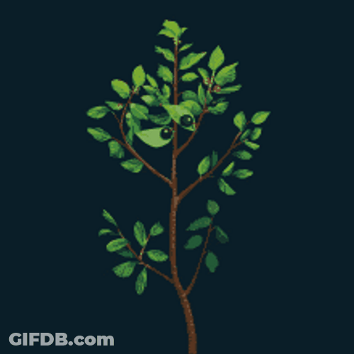 Animated Buckthorn Blinking Tree GIF