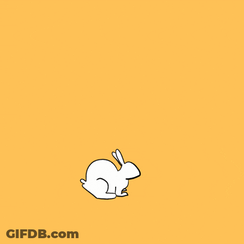 Animated Bunny Hopping In Circles GIF
