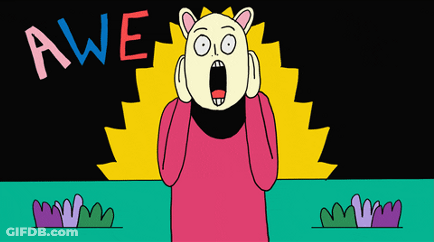Animated Bunny Person Shocked Amazing Reaction GIF