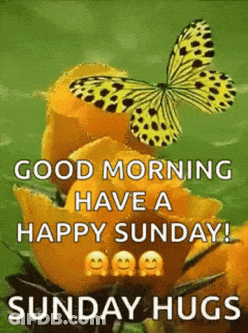 Animated Butterfly Happy Morning Sunday Hugs GIF