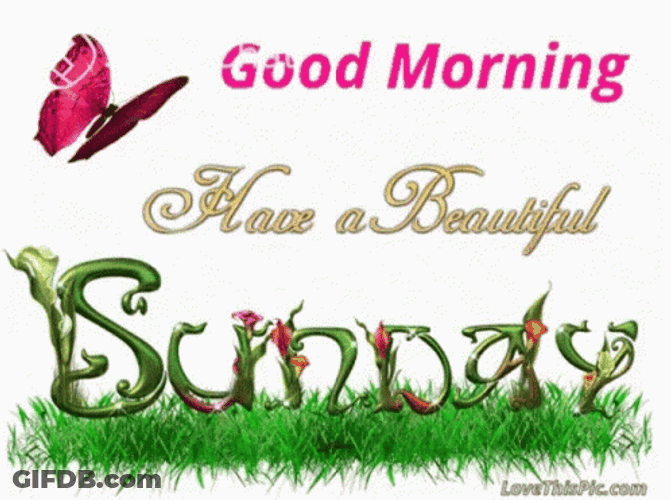 Animated Butterfly Wishing Happy Beautiful Sunday GIF