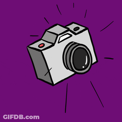 Animated Camera Snapping Picture GIF
