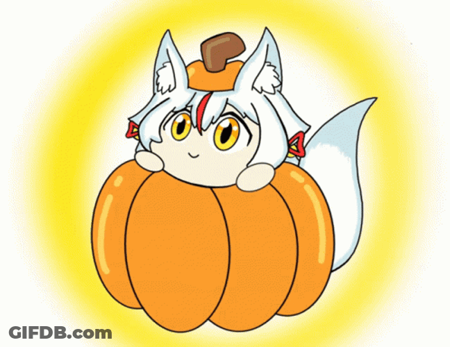 Animated Cat Asked Pumpkin Dance GIF