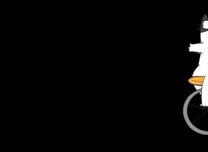 Animated Cat Balance On Unicycle GIF