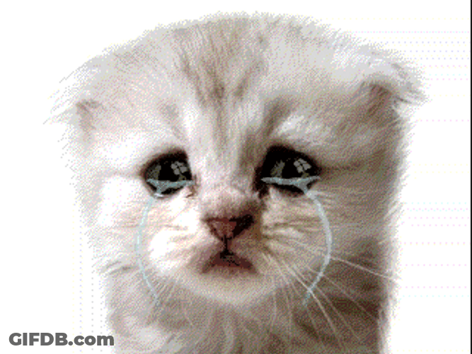 Animated Cat Crying GIF