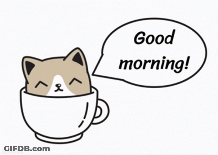 Animated Cat Cup Good Morning GIF