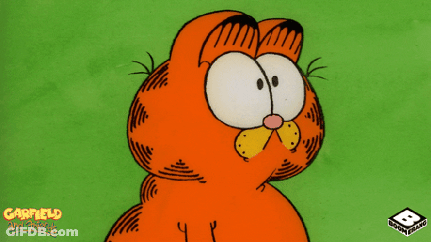 Animated Cat Garfield Confused GIF