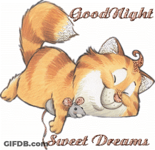 Animated Cat Good Night Sweet Dreams GIF