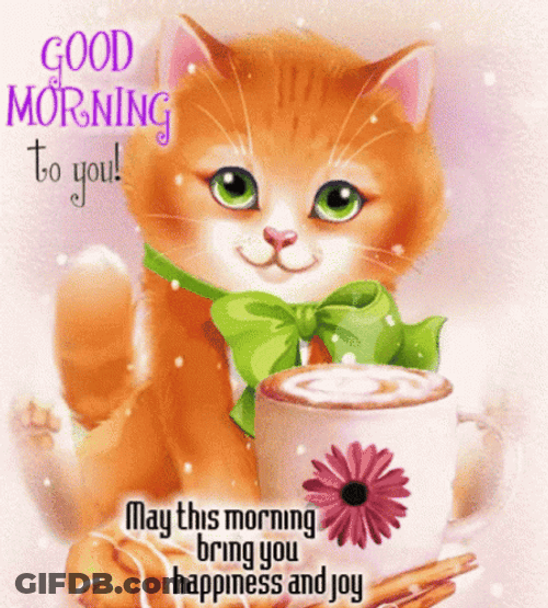 Animated Cat Happy Good Morning GIF