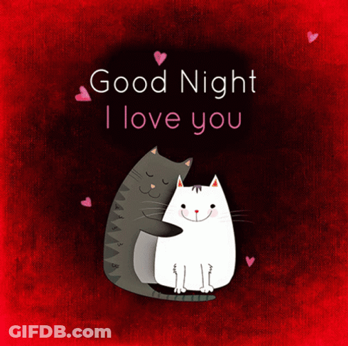 Animated Cat Hugging Good Night Love You GIF