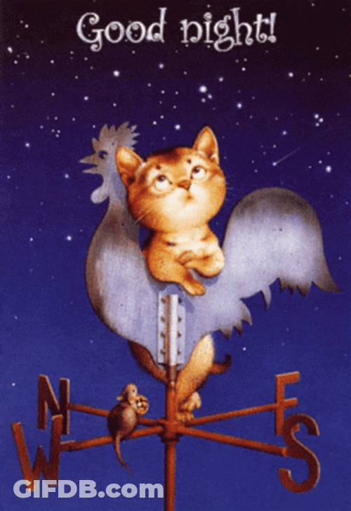 Animated Cat On Wind Vane Having Good Night GIF