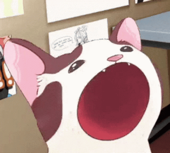 Animated Cat Pop Cat Democat Wide Mouth GIF