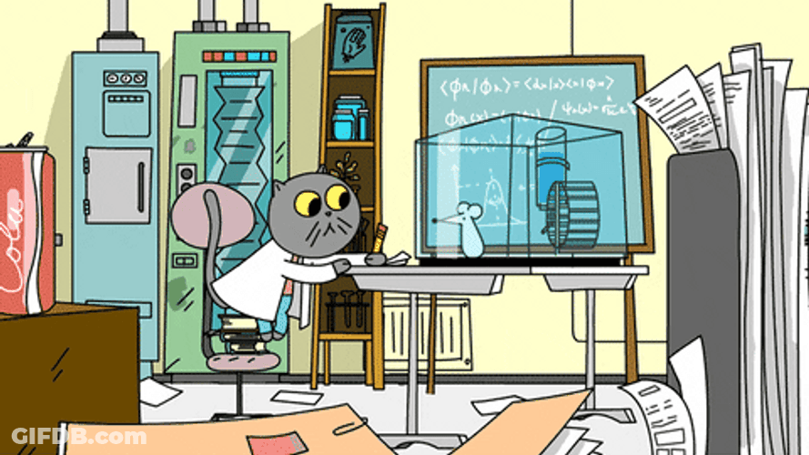 Animated Cat Scientist GIF