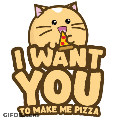 Animated Cat Take Me Now Make Me Pizza GIF