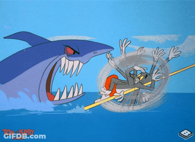 Animated Cat Tom Chased By Shark GIF