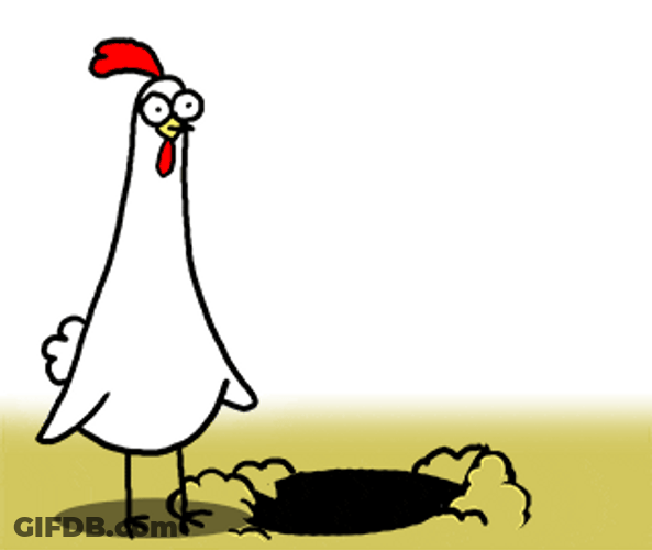 Animated Chicken Hiding GIF