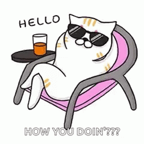 Animated Chilling Relaxed Cat Hello Meme GIF