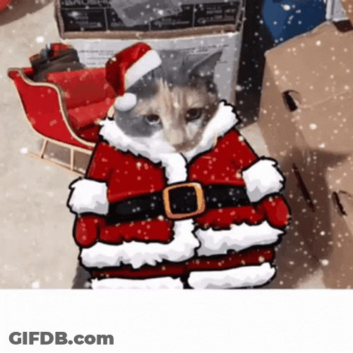 Animated Christmas Cat With Santa Costume GIF