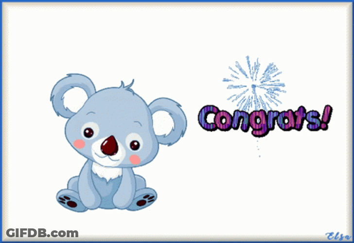 Animated Congratulations Cartoon Koala Bear GIF