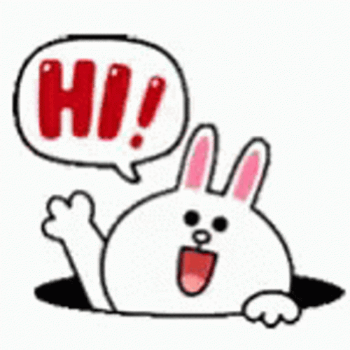 Animated Cony Sticker Waving Hi GIF