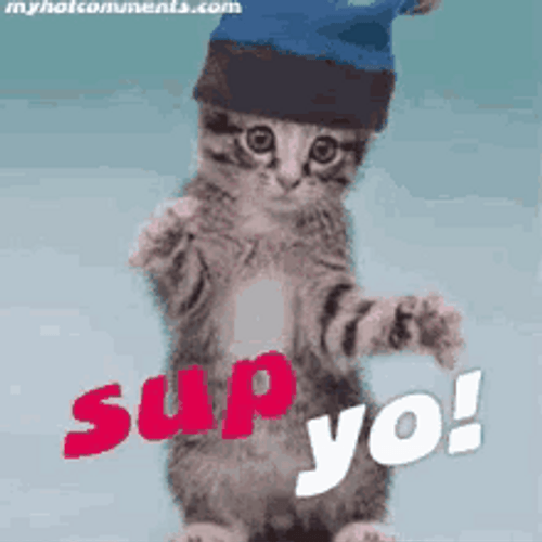Animated Cool Cat Wear Hat Dancing GIF