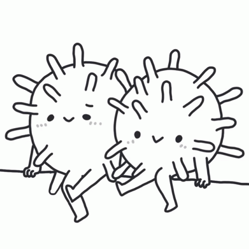 Animated Couple Covid Meme GIF