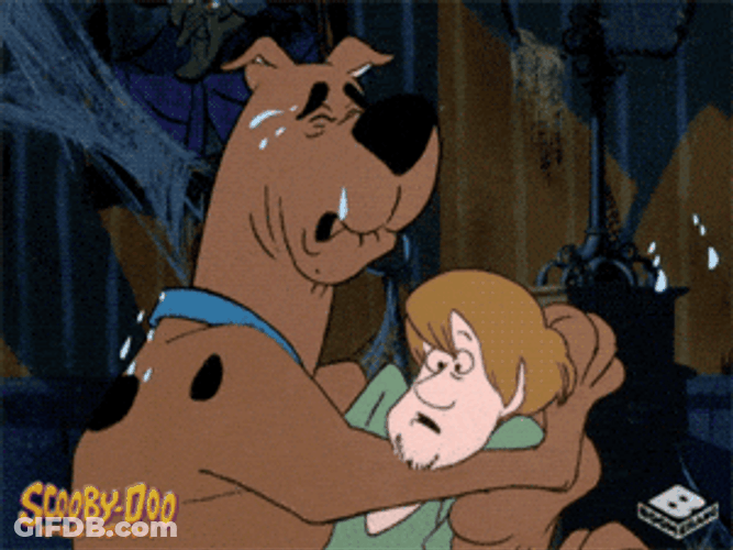 Animated Crying Scooby Doo Hugging Confused Shaggy GIF