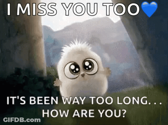 Animated Cute Baby Owl Miss You Too GIF