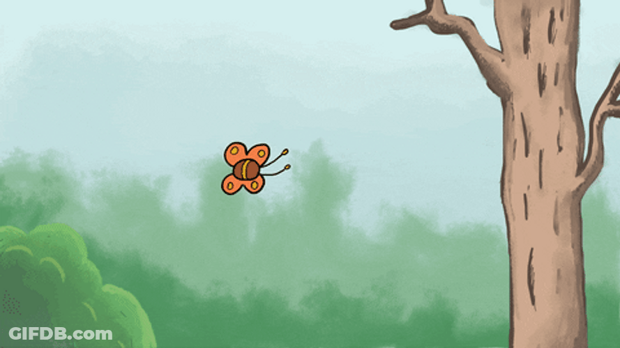 Animated Cute Cat Catching Butterfly GIF
