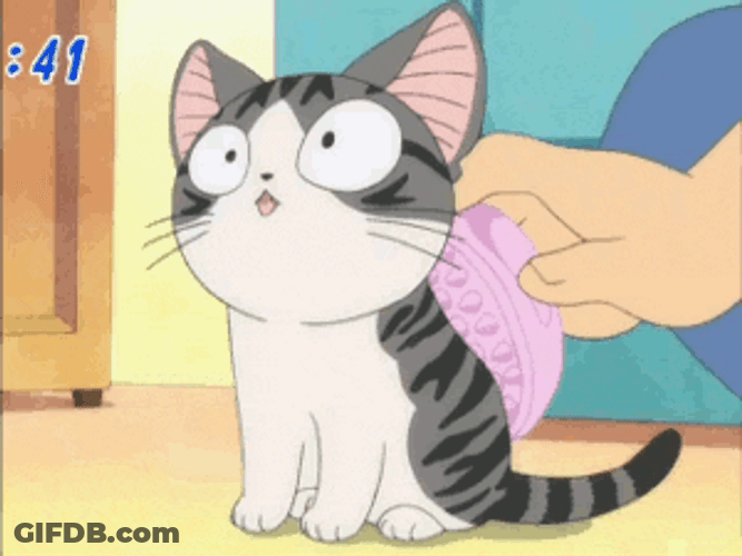 Animated Cute Cat Getting Scrubs GIF