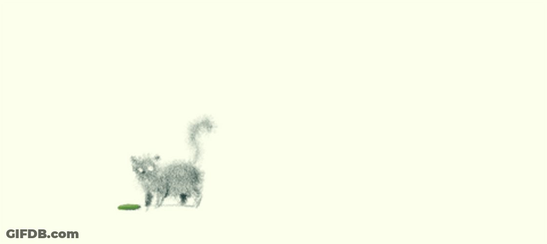 Animated Cute Cat Jumping GIF