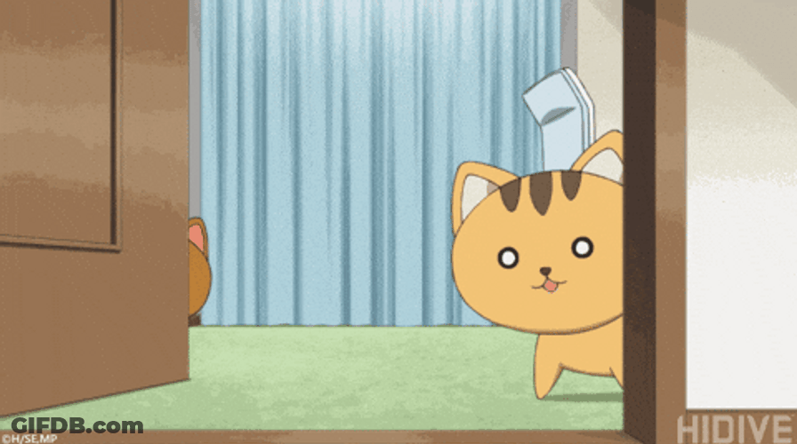 Animated Cute Cat Peek GIF