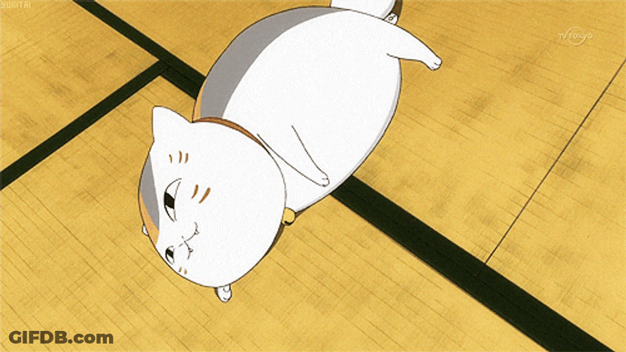 Animated Cute Cat Rolling GIF