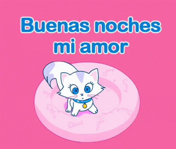 Animated Cute Cat Sleeping Buenas Noches Amor GIF