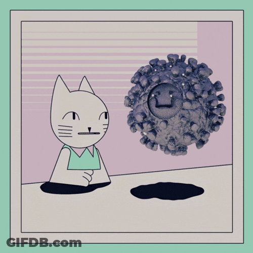 Animated Cute Cat Virus GIF