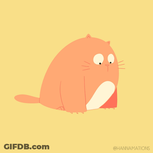 Animated Cute Cat With Laser Pointer GIF