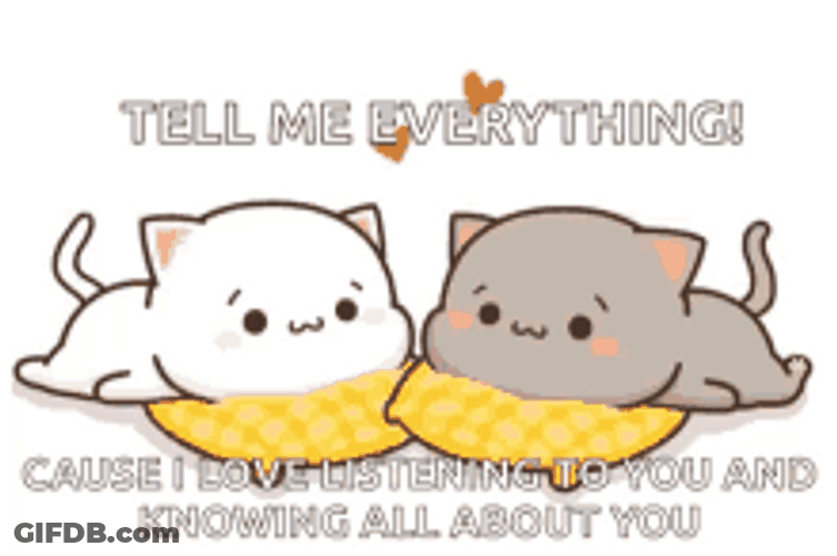 Animated Cute Cool Cat Couple GIF