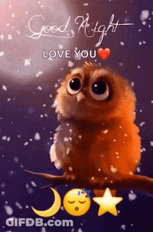 Animated Cute Owl Good Night Love You GIF