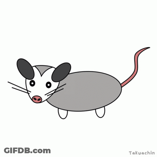 Animated Cute Possum GIF