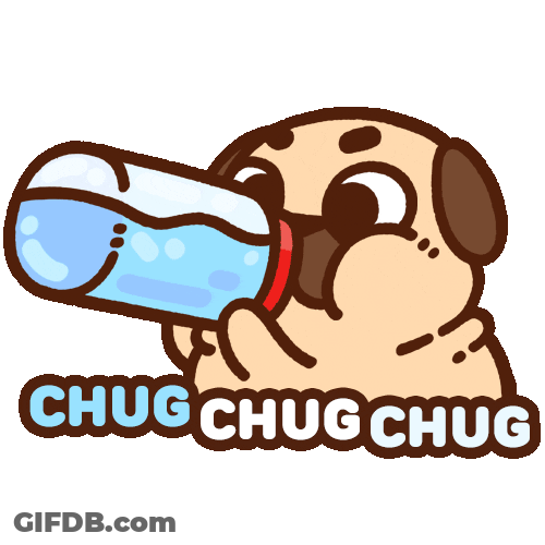 Animated Cute Puglie Pug Dog Drink Water GIF