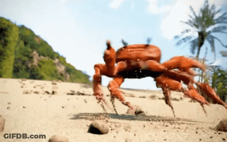 Animated Dancing King Crab By Siri GIF